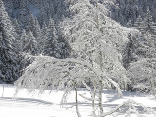 RAQUETTE A CHAMROUSSE-isere