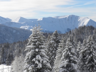 RAQUETTE AU LAC ACHARD-isere