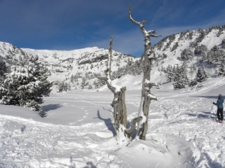 RAQUETTE AU LAC ACHARD-isere
