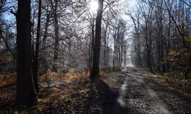 VASSELIN -OUEST -isere