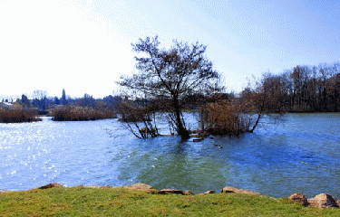 PONT DE CHERUY-isere