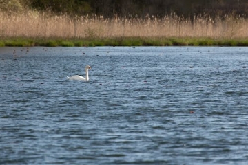SOLEYMIEU - PETIT SOLEYMIARD - 7 ETANGS-isere
