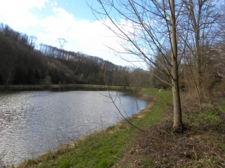 MEYRIEU-LES-ETANGS-isere