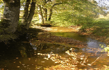 CASCADE DE CHAPIEU-isere