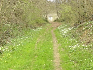 BEVENAIS - NORD-OUEST-isere