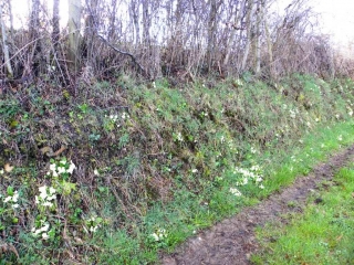ST CHRISTOPHE-CHATONNAY - TOUR DES ETANGS-isere