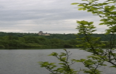 AUTOUR DE L ETANG DE RY-isere