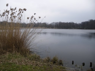 VILLEFONTAINE - TOUR DES ETANGS-isere