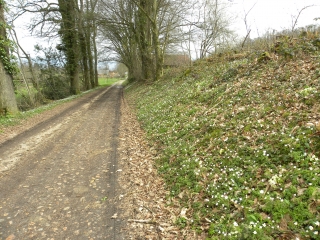AUTOUR DE MONTCARRA-isere