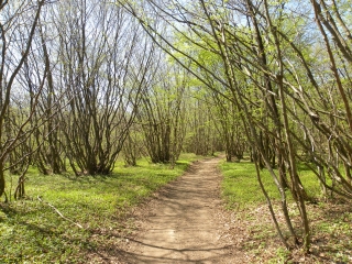 FAVERGES-DE-LA-TOUR-isere