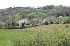 DIZIMIEU - SUD-EST-isere