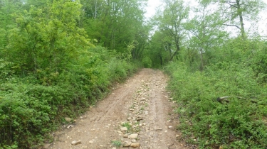 SABLONNIERE - PETIT SOLEYMIARD-isere