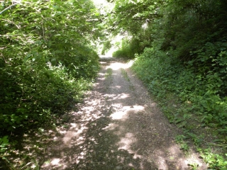 SAINT-SORLIN-DE-MORESTEL -isere