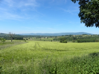 SAINT-SORLIN-DE-MORESTEL -isere