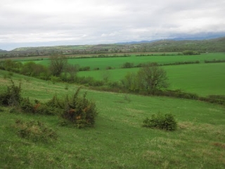 OPTEVOZ - SUD-EST-isere