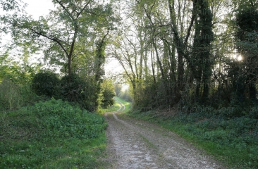 BOURGOIN - LES MARAIS-isere