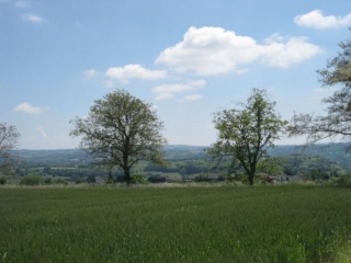 BOURGOIN - LES MARAIS-isere