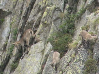 FOND DE FRANCE - COMBE MADAME - CASCADE DU PISSOU-isere