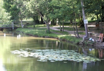 BOURGOIN - NORD-isere