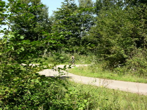 SAINT DIDIER DE LA TOUR-isere