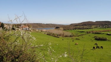 MORAS - SUD OUEST-isere