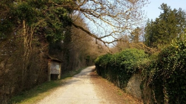 SAINT-MARCEL-BEL-ACCUEUIL - LES MARAIS-isere