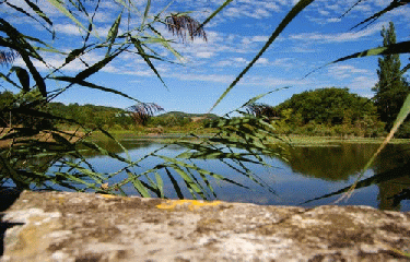 LE PRESSOIR A NOIX-isere