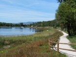 SAINT- JEAN-DE-BOURNAY - ETANG DE MONTJOUX -isere