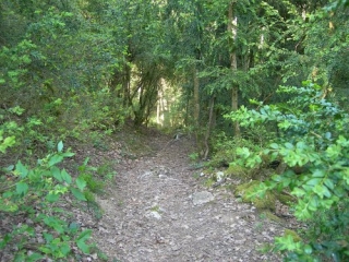 ENTRE-DEUX-GUIERS - BOUCLE D AIGUENOIRE