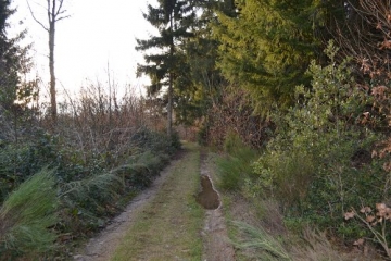 LIEUDIEU - CIRCUIT DES CISTERCIENS-isere