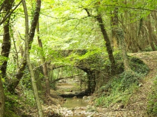 REVENTIN-VAUGRIS-isere