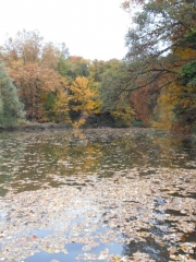 SAINT JEAN D AVELANNE-isere