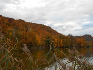 SAINT JEAN D AVELANNE-isere