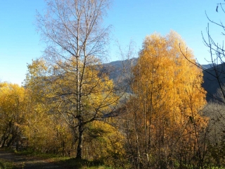 SAINT PIERRE D ENTREMONT - DENT DE L OURS - COL DU FRET-isere