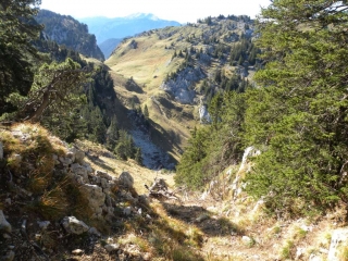 SAINT PIERRE D ENTREMONT - DENT DE L OURS - COL DU FRET-isere