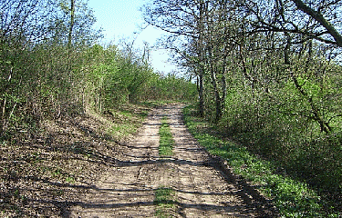 SATOLAS ET BONCE-isere