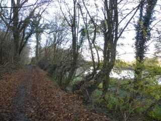 SAINT-ANDRE-LE-GAZ-isere