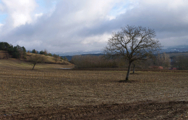 Autour de Clelles-isere