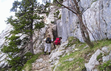 CIRQUE DE SAINT MEME-isere