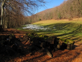 SAINT-ETIENNE-DE-CROSSEY - NORD