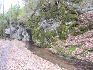 LA TROUSSATIERE-isere