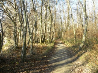 MAUBEC - OUEST-isere