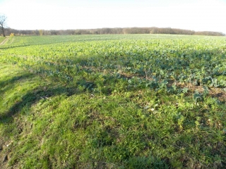 MAUBEC - OUEST-isere