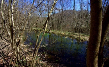 TORCHEFELON - CROIX ET CHATEAU-isere