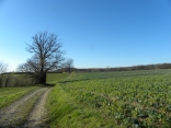 REVEL-TOURDAN-isere