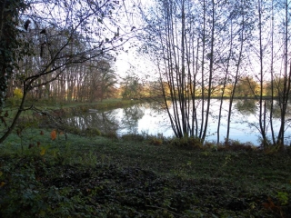 SAINT JULIEN DE L HERMS-isere