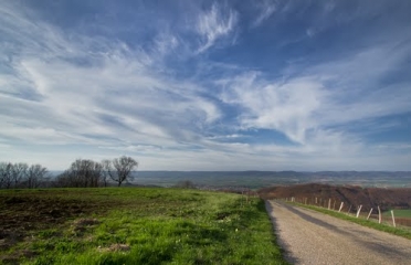 SAINT PAUL D IZEAUX - COL DU CHATAIN-isere