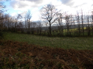 SAINT PAUL D IZEAUX - COL DU CHATAIN-isere