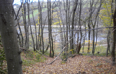 BOURGOIN-JALLIEU-isere