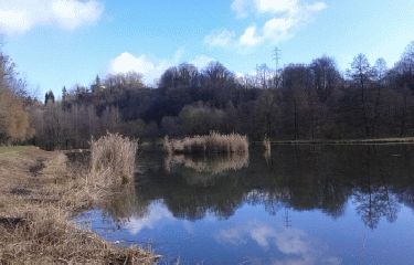 RIVES - BORDS DE LA FURE-isere
